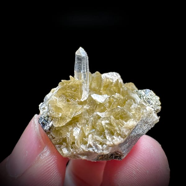 Clear quartz needle on golden siderite rhombs from Guizhou, China, held in hand