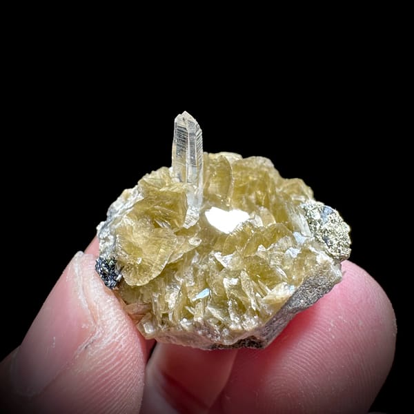 Clear quartz needle on golden siderite rhombs from Guizhou, China, top view