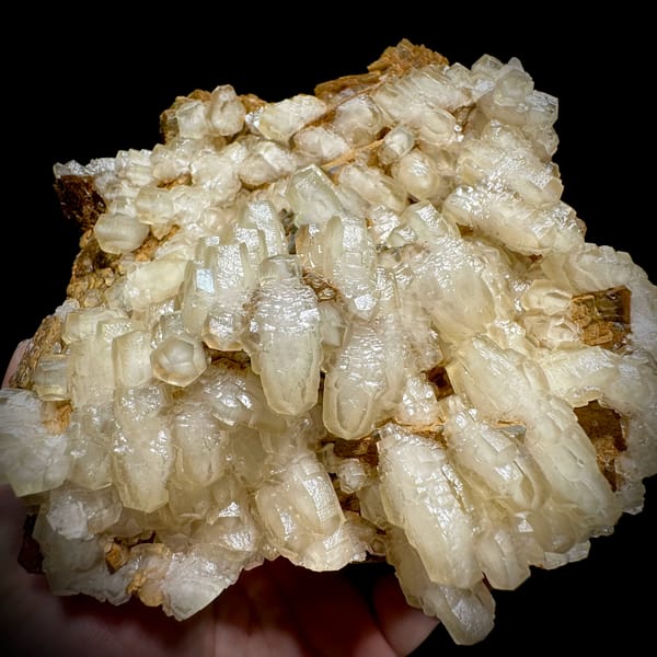 Hammer-headed calcite crystals over golden siderite from Guizhou, China, top view