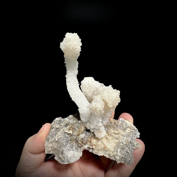 Curved white gypsum spire from Guizhou, China, detail of the matrix contact