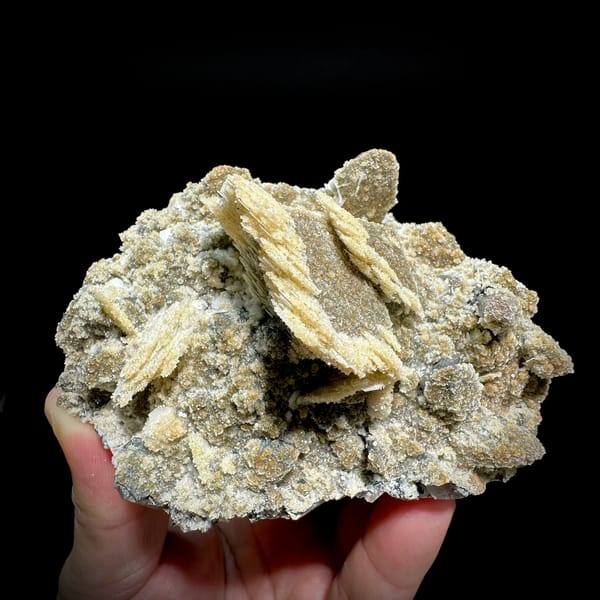 Tan calcite blades with zeolite and quartz on feldspar from Yunxiao, Fujian, China, held in hand