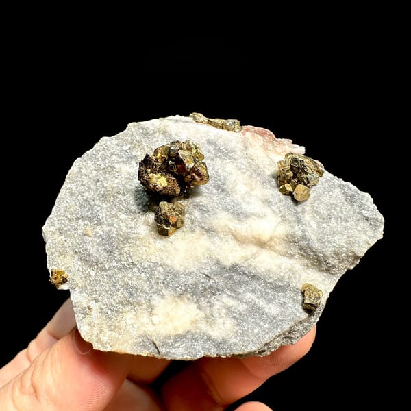 Brassy pyrite crystal clusters on pale sugary plate from Fujian, China, held in hand