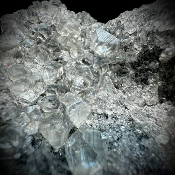 Branching frosted transparent calcite cluster from Fujian, China, top view