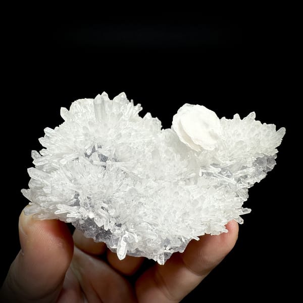 White quartz-needle cluster with platy calcite crystal from Fujian, China, detail of the matrix contact