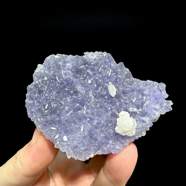Lavender-blue fluorite plate with white calcite rosette from Fujian, China, held in hand