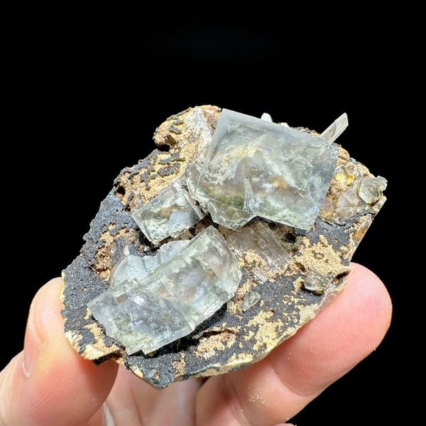 Transparent fluorite cubes on dark tan-crusted matrix from Fujian, China, held in hand