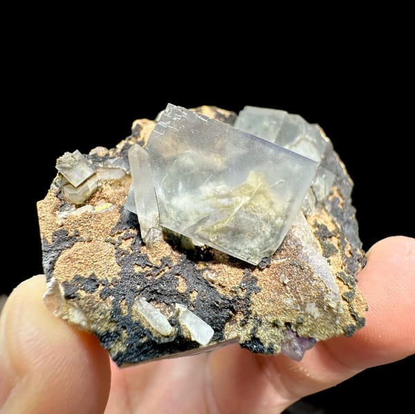 Transparent fluorite cubes on dark tan-crusted matrix from Fujian, China, close-up of the crystal faces