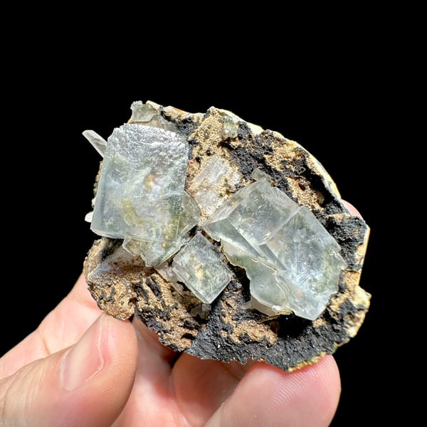 Transparent fluorite cubes on dark tan-crusted matrix from Fujian, China, reverse side