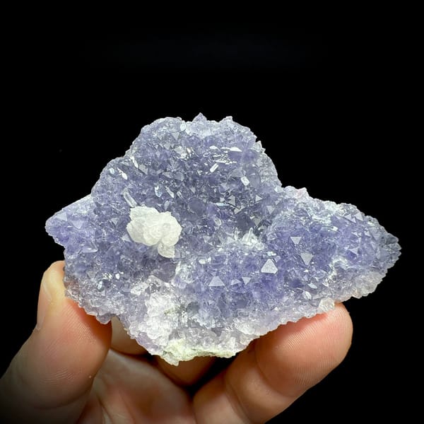 Lavender fluorite plate with white calcite rosette from Fujian, China, held in hand