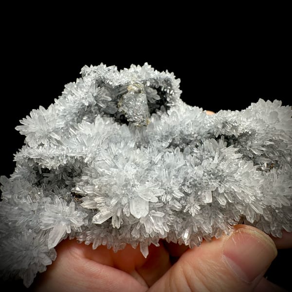 Large star calcite crystal on long quartz-needle branch from Fujian, China, close-up of the crystal faces