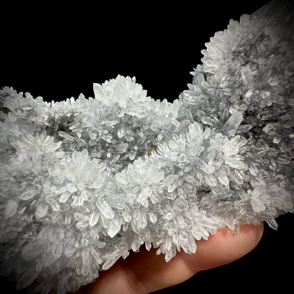 Large star calcite crystal on long quartz-needle branch from Fujian, China, top view