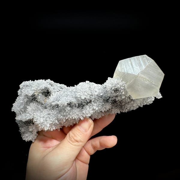 Large star calcite crystal on long quartz-needle branch from Fujian, China, detail of the matrix contact