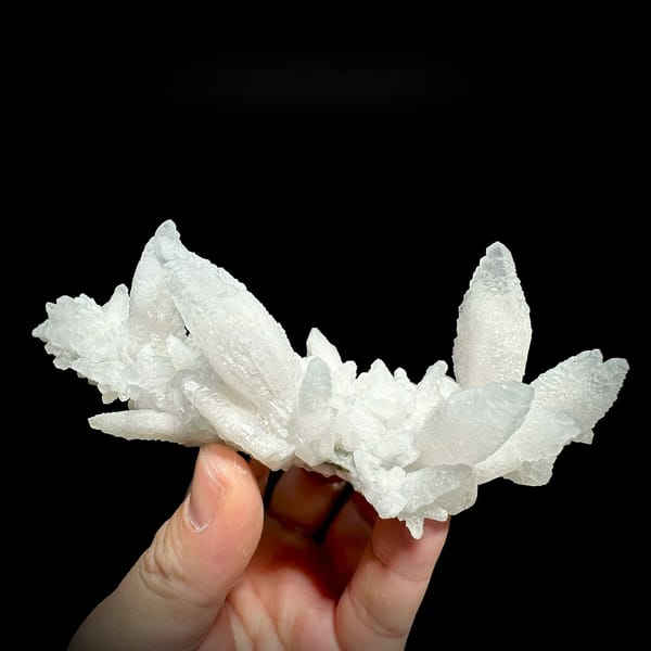 Spray of white feather-calcite blades from Hunan, China, held in hand