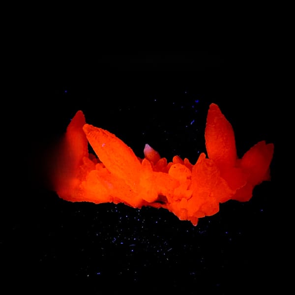 Spray of white feather-calcite blades from Hunan, China, second angle