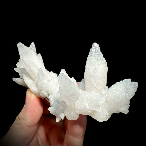 Spray of white feather-calcite blades from Hunan, China, close-up of the crystal faces