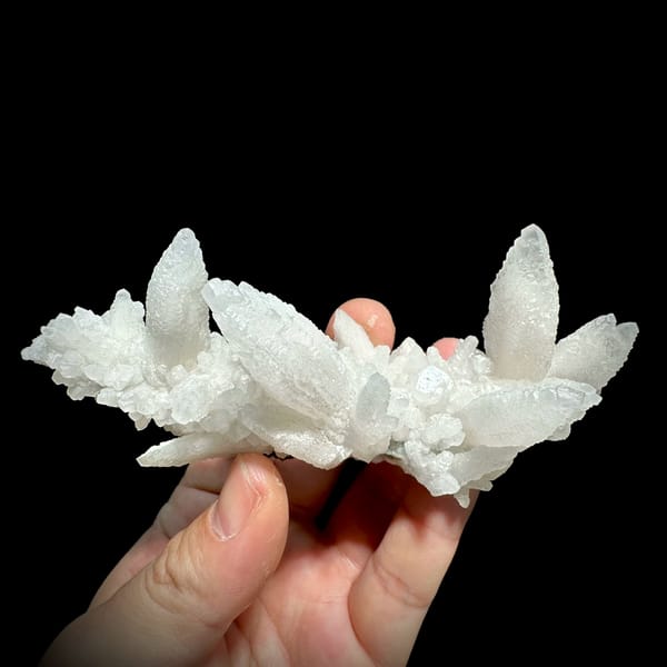 Spray of white feather-calcite blades from Hunan, China, reverse side
