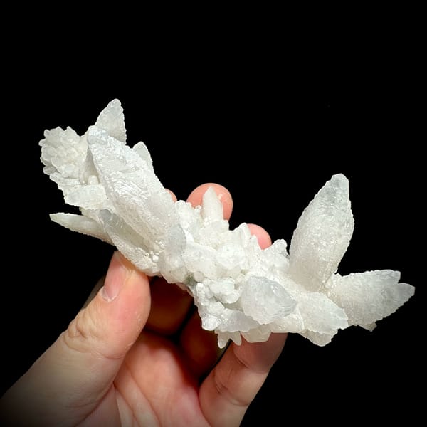 Spray of white feather-calcite blades from Hunan, China, top view