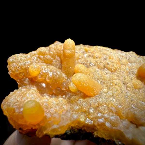 Orange caterpillar-form calcite over cream botryoidal plate from Yunxiao, Fujian, China, close-up of the crystal faces