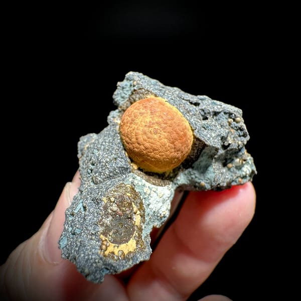 Egg-yolk orange calcite ball in grey pocket from Fujian, China, held in hand