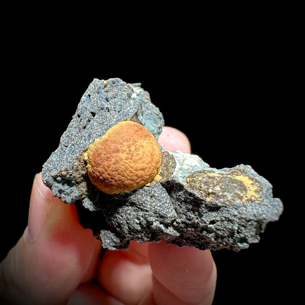 Egg-yolk orange calcite ball in grey pocket from Fujian, China, close-up of the crystal faces