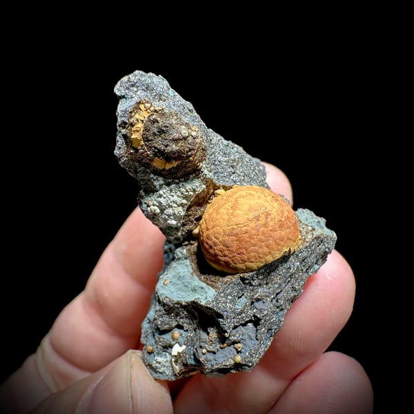 Egg-yolk orange calcite ball in grey pocket from Fujian, China, top view