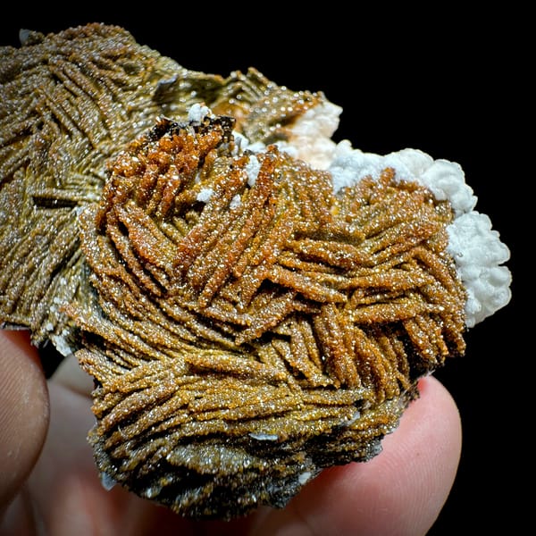 Sparkling brown vanadinite over bladed baryte from Morocco, second angle