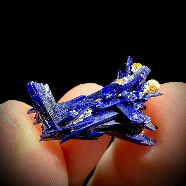 Tiny electric-blue azurite blade floater from Morocco, second angle