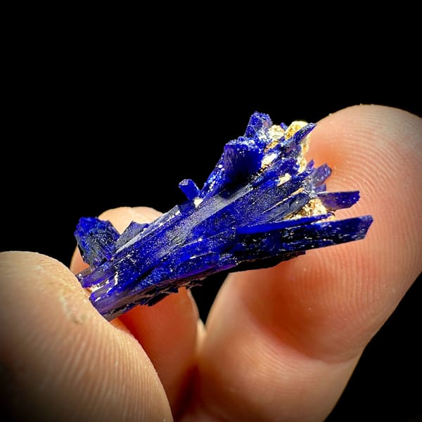 Tiny electric-blue azurite blade floater from Morocco, close-up of the crystal faces