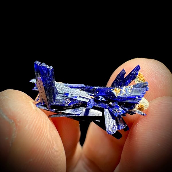 Tiny electric-blue azurite blade floater from Morocco, reverse side