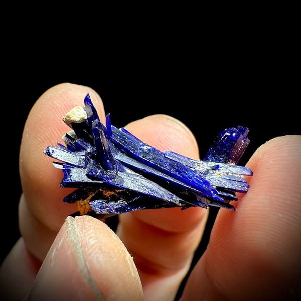 Tiny electric-blue azurite blade floater from Morocco, top view