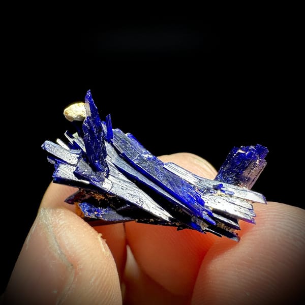 Tiny electric-blue azurite blade floater from Morocco, detail of the matrix contact