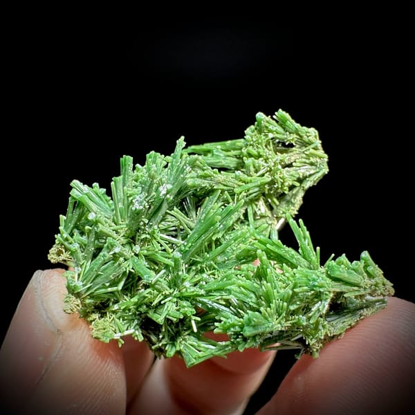 Dense thicket of deep green pyromorphite prisms from Guangxi, China, held in hand