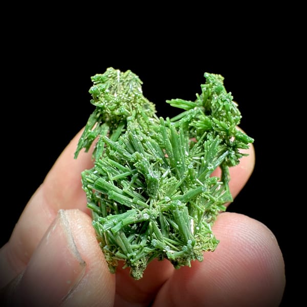 Dense thicket of deep green pyromorphite prisms from Guangxi, China, reverse side
