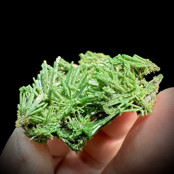 Dense thicket of deep green pyromorphite prisms from Guangxi, China, top view