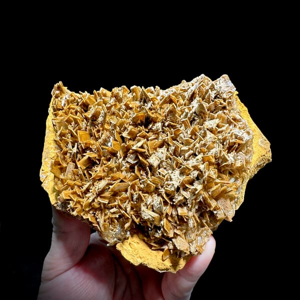 Golden-brown tabular baryte blades across a plate from Henan, China, close-up of the crystal faces