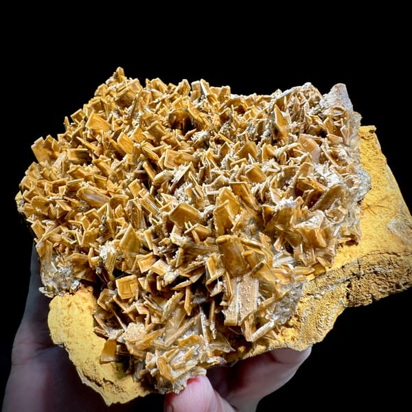 Golden-brown tabular baryte blades across a plate from Henan, China, reverse side