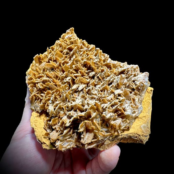 Golden-brown tabular baryte blades across a plate from Henan, China, top view