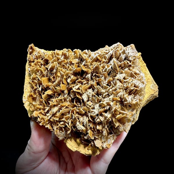 Golden-brown tabular baryte blades across a plate from Henan, China, detail of the matrix contact