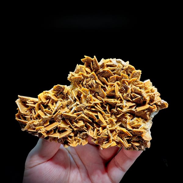 Golden tabular baryte blades stacked across a plate from Henan, China, held in hand