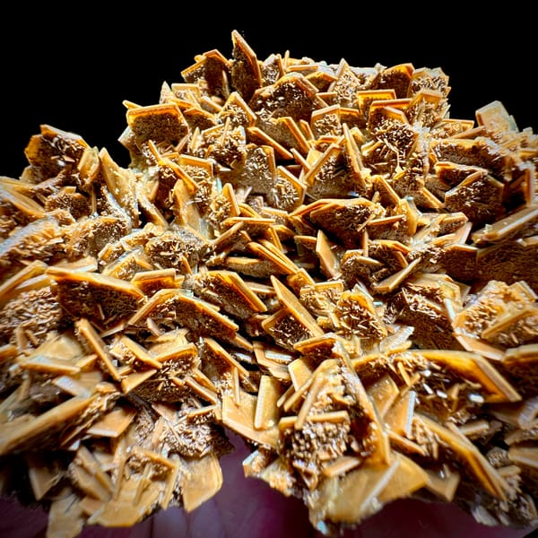 Golden tabular baryte blades stacked across a plate from Henan, China, second angle