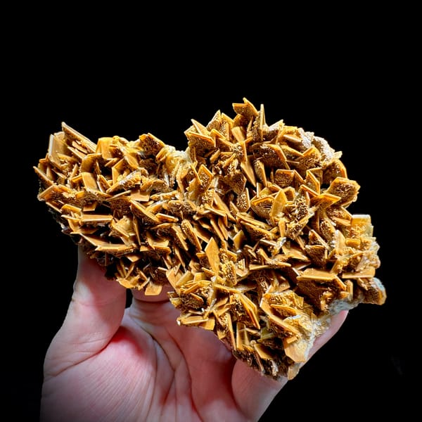 Golden tabular baryte blades stacked across a plate from Henan, China, close-up of the crystal faces