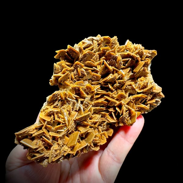 Golden tabular baryte blades stacked across a plate from Henan, China, reverse side