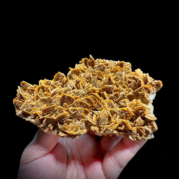 Golden tabular baryte blades stacked across a plate from Henan, China, top view