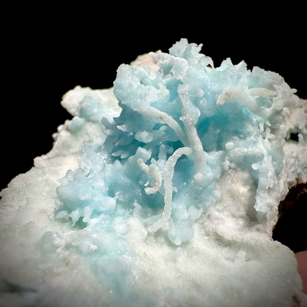 Sky-blue stalactitic aragonite in white aragonite frame from Yunnan, China, second angle