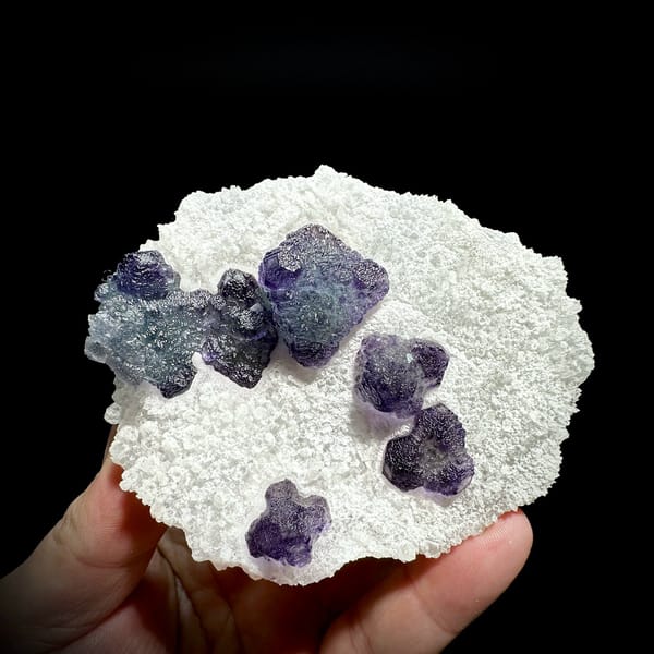Frosted purple fluorite cubes on white sugar-quartz plate from Zhejiang, China, held in hand