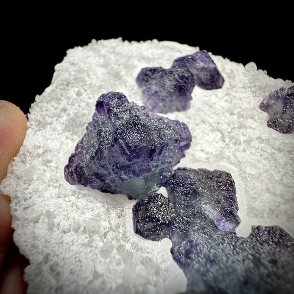 Frosted purple fluorite cubes on white sugar-quartz plate from Zhejiang, China, close-up of the crystal faces