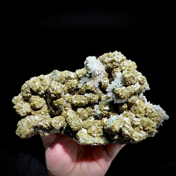 Olive garnet crystals with green phantom quartz from Inner Mongolia, China, held in hand