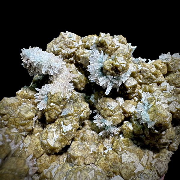 Olive garnet crystals with green phantom quartz from Inner Mongolia, China, second angle