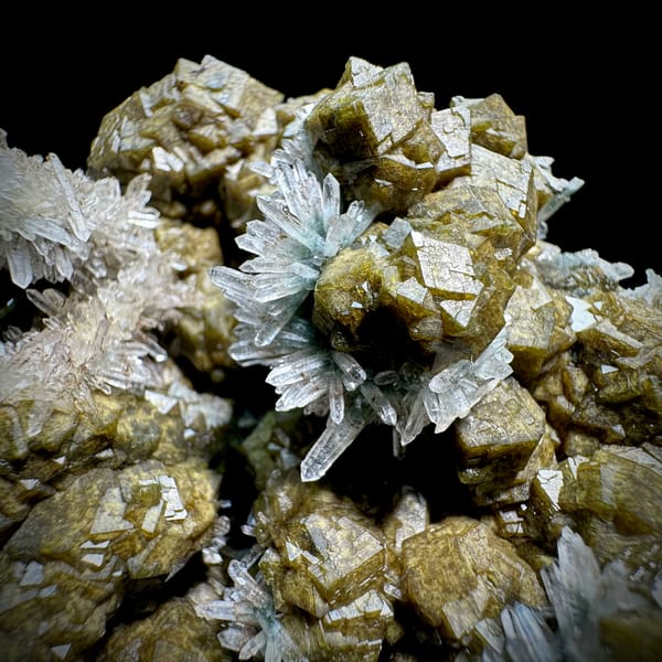 Olive garnet crystals with green phantom quartz from Inner Mongolia, China, close-up of the crystal faces