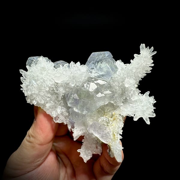 Flower of clear quartz needles with pale blue fluorite cubes from Fujian, China, held in hand